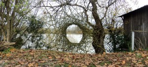 branches land art bordeaux