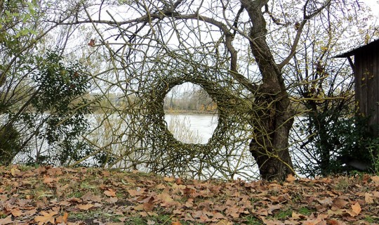 branches land art bordeaux